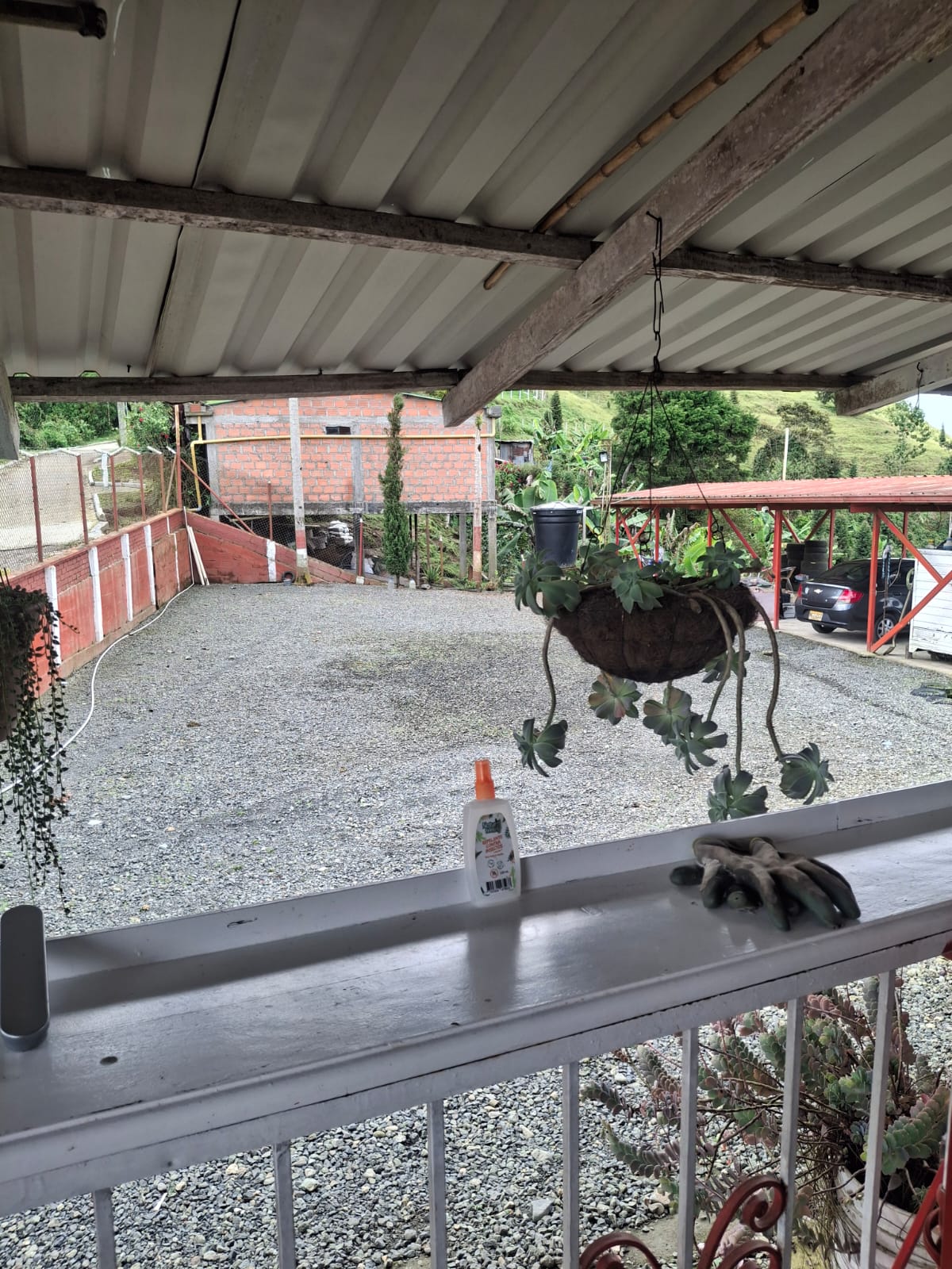 Paradisiaca finca Dosquebradas, alto del nudo - Image 3