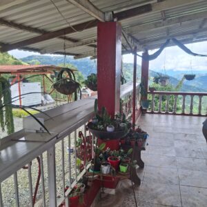 Paradisiaca finca Dosquebradas, alto del nudo