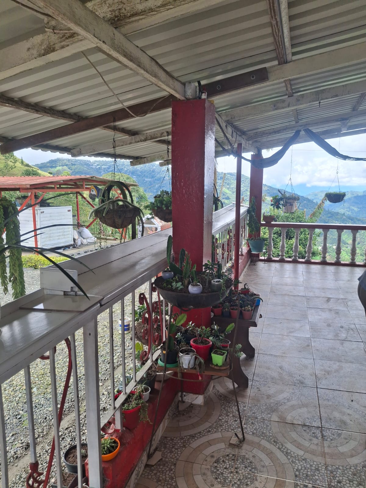 Paradisiaca finca Dosquebradas, alto del nudo